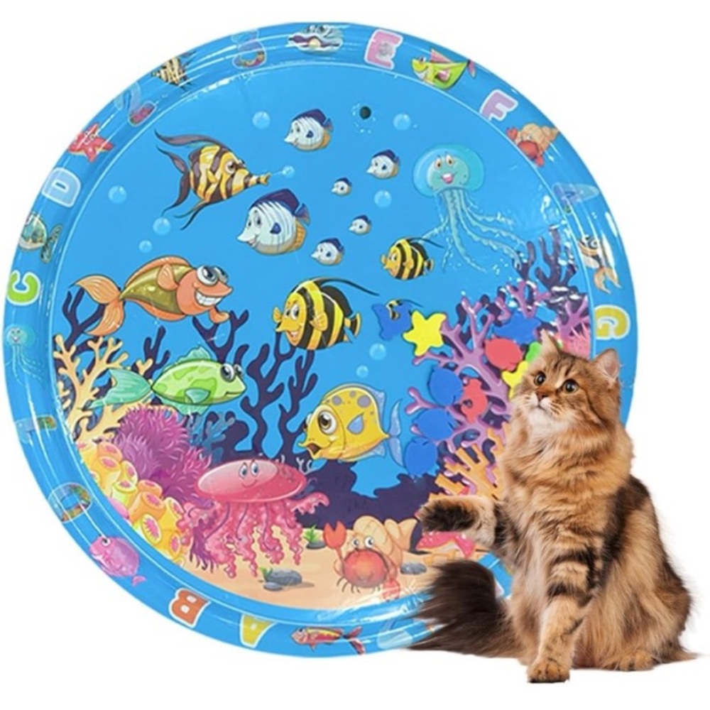 Colorful Ocean-Themed Pet Splash Pad